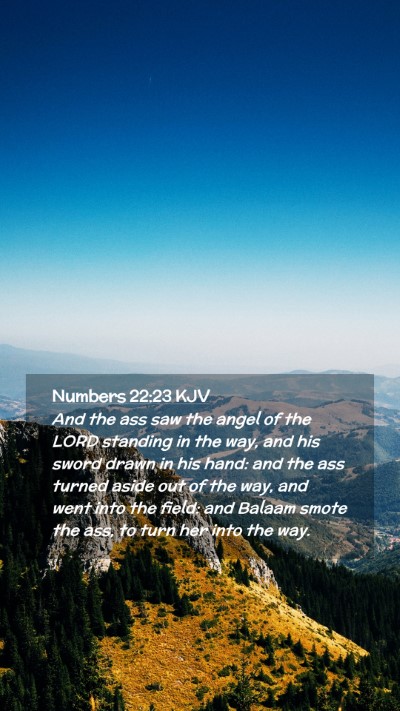 Picture 02 - Numbers 22:23 KJV Mobile Phone Wallpaper - And the ass saw the angel of the LORD standing in - Mobile Bible Verse Wallpaper