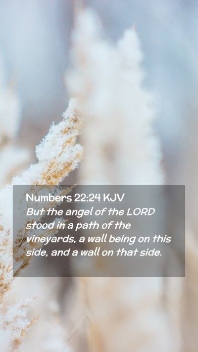Picture 02 - Numbers 22:24 KJV Mobile Phone Wallpaper - But the angel of the LORD stood in a path of the - Mobile Bible Verse Wallpaper