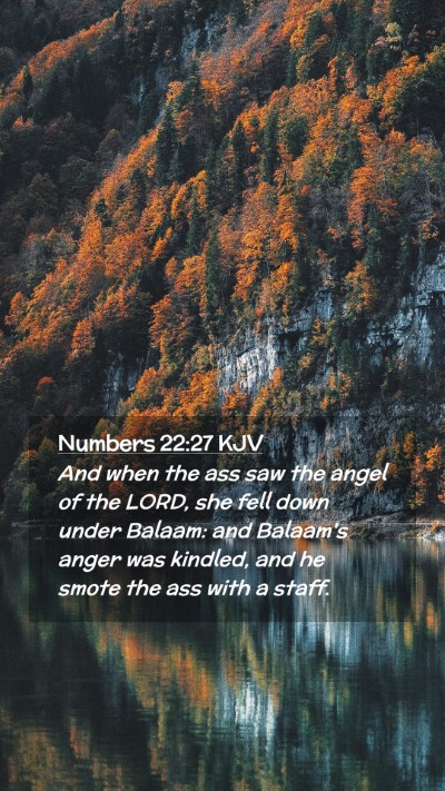 Picture 02 - Numbers 22:27 KJV Mobile Phone Wallpaper - And when the ass saw the angel of the LORD, she - Mobile Bible Verse Wallpaper