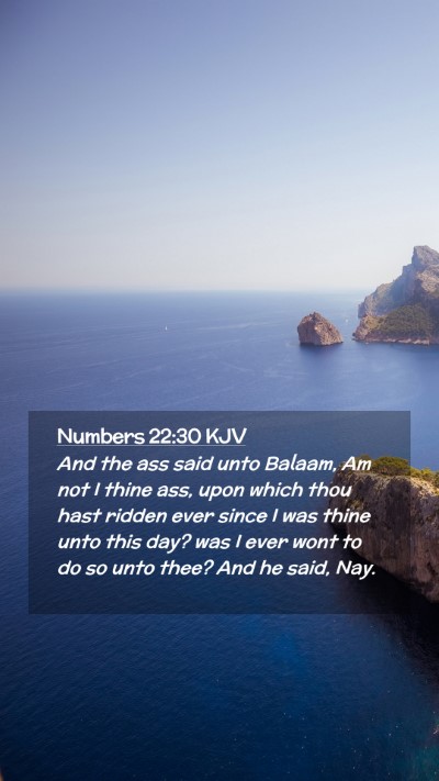 Picture 02 - Numbers 22:30 KJV Mobile Phone Wallpaper - And the ass said unto Balaam, Am not I thine ass, - Mobile Bible Verse Wallpaper