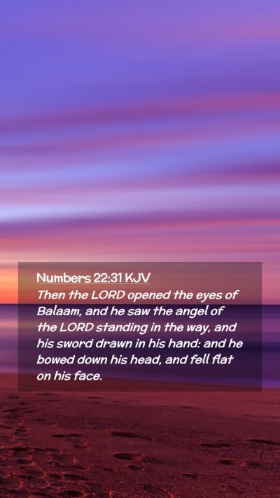 Picture 02 - Numbers 22:31 KJV Mobile Phone Wallpaper - Then the LORD opened the eyes of Balaam, and he - Mobile Bible Verse Wallpaper