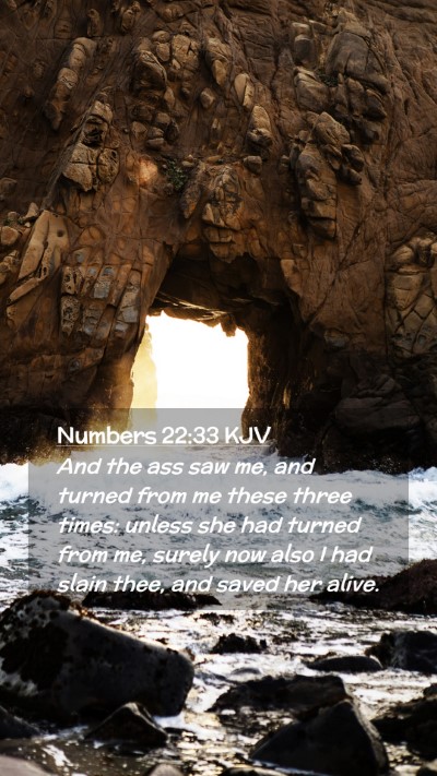 Picture 02 - Numbers 22:33 KJV Mobile Phone Wallpaper - And the ass saw me, and turned from me these - Mobile Bible Verse Wallpaper