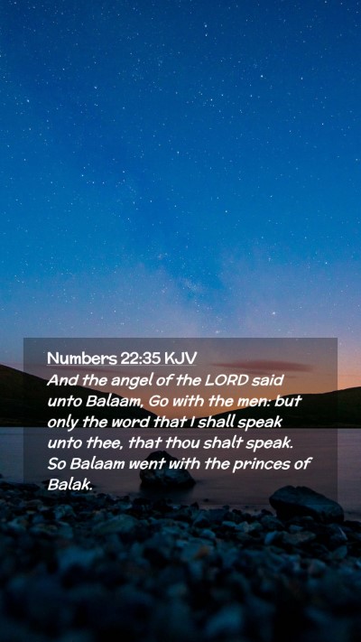 Picture 02 - Numbers 22:35 KJV Mobile Phone Wallpaper - And the angel of the LORD said unto Balaam, Go - Mobile Bible Verse Wallpaper
