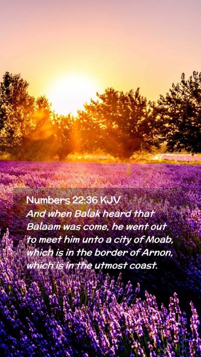 Picture 02 - Numbers 22:36 KJV Mobile Phone Wallpaper - And when Balak heard that Balaam was come, he - Mobile Bible Verse Wallpaper