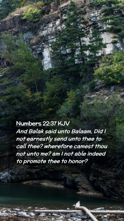 Picture 02 - Numbers 22:37 KJV Mobile Phone Wallpaper - And Balak said unto Balaam, Did I not earnestly - Mobile Bible Verse Wallpaper