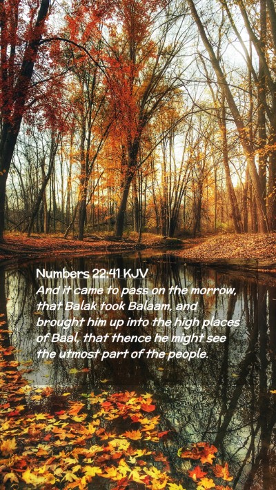 Picture 02 - Numbers 22:41 KJV Mobile Phone Wallpaper - And it came to pass on the morrow, that Balak - Mobile Bible Verse Wallpaper