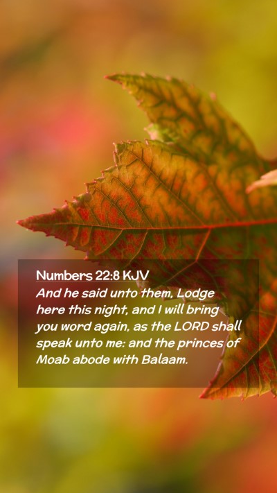 Picture 02 - Numbers 22:8 KJV Mobile Phone Wallpaper - And he said unto them, Lodge here this night, and - Mobile Bible Verse Wallpaper