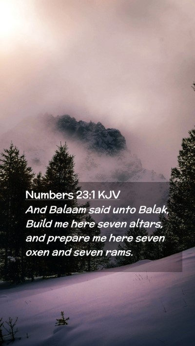 Picture 02 - Numbers 23:1 KJV Mobile Phone Wallpaper - And Balaam said unto Balak, Build me here seven - Mobile Bible Verse Wallpaper