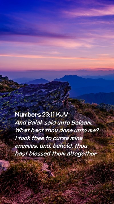 Picture 02 - Numbers 23:11 KJV Mobile Phone Wallpaper - And Balak said unto Balaam, What hast thou done - Mobile Bible Verse Wallpaper