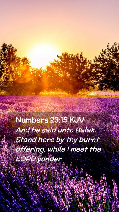 Picture 02 - Numbers 23:15 KJV Mobile Phone Wallpaper - And he said unto Balak, Stand here by thy burnt - Mobile Bible Verse Wallpaper