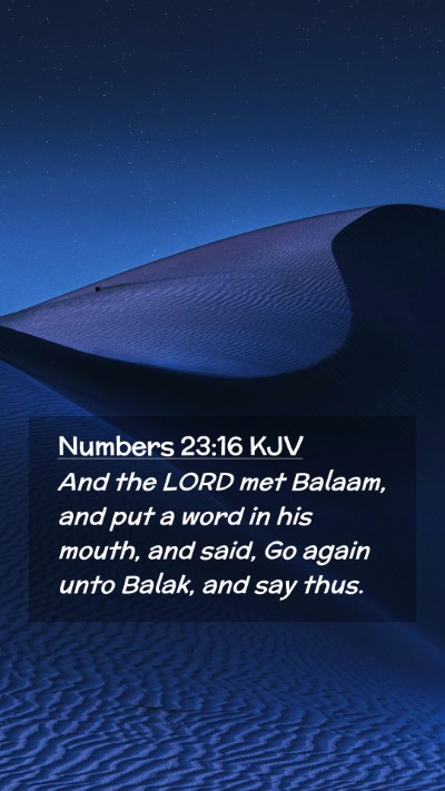 Picture 02 - Numbers 23:16 KJV Mobile Phone Wallpaper - And the LORD met Balaam, and put a word in his - Mobile Bible Verse Wallpaper