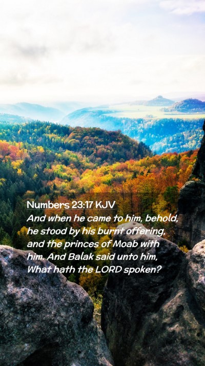 Picture 02 - Numbers 23:17 KJV Mobile Phone Wallpaper - And when he came to him, behold, he stood by his - Mobile Bible Verse Wallpaper