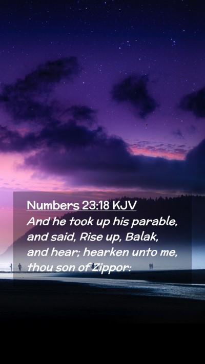 Picture 02 - Numbers 23:18 KJV Mobile Phone Wallpaper - And he took up his parable, and said, Rise up, - Mobile Bible Verse Wallpaper