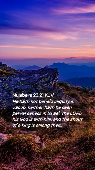Picture 02 - Numbers 23:21 KJV Mobile Phone Wallpaper - He hath not beheld iniquity in Jacob, neither - Mobile Bible Verse Wallpaper
