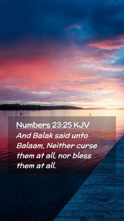 Picture 02 - Numbers 23:25 KJV Mobile Phone Wallpaper - And Balak said unto Balaam, Neither curse them at - Mobile Bible Verse Wallpaper