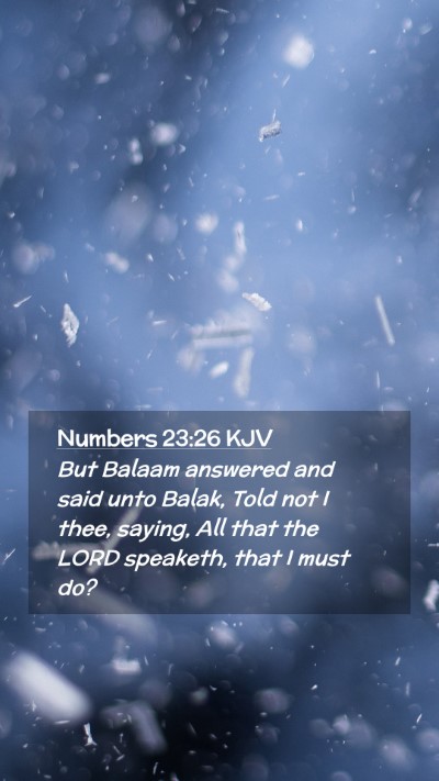 Picture 02 - Numbers 23:26 KJV Mobile Phone Wallpaper - But Balaam answered and said unto Balak, Told not - Mobile Bible Verse Wallpaper