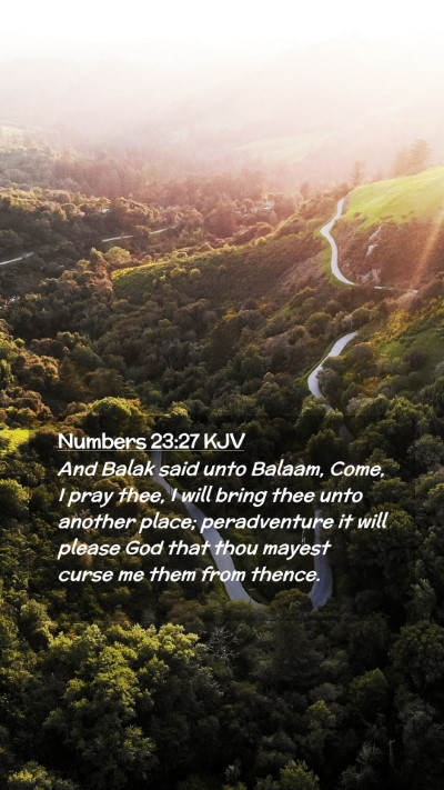 Picture 02 - Numbers 23:27 KJV Mobile Phone Wallpaper - And Balak said unto Balaam, Come, I pray thee, I - Mobile Bible Verse Wallpaper
