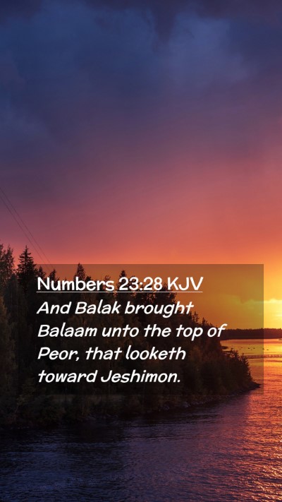 Picture 02 - Numbers 23:28 KJV Mobile Phone Wallpaper - And Balak brought Balaam unto the top of Peor, - Mobile Bible Verse Wallpaper