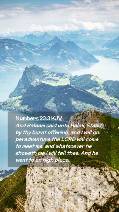 Picture 02 - Numbers 23:3 KJV Mobile Phone Wallpaper - And Balaam said unto Balak, Stand by thy burnt - Mobile Bible Verse Wallpaper
