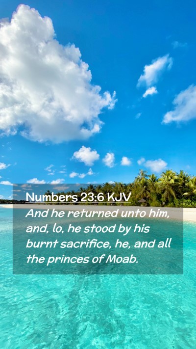 Picture 02 - Numbers 23:6 KJV Mobile Phone Wallpaper - And he returned unto him, and, lo, he stood by - Mobile Bible Verse Wallpaper