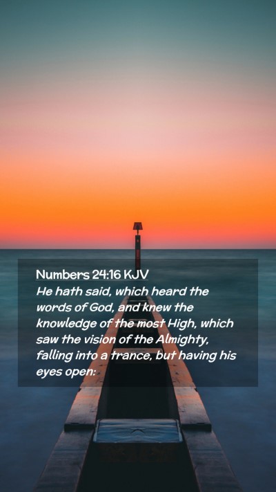 Picture 02 - Numbers 24:16 KJV Mobile Phone Wallpaper - He hath said, which heard the words of God, and - Mobile Bible Verse Wallpaper