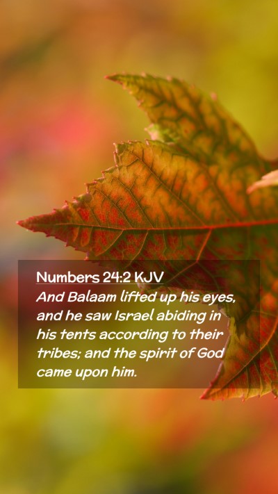 Picture 02 - Numbers 24:2 KJV Mobile Phone Wallpaper - And Balaam lifted up his eyes, and he saw Israel - Mobile Bible Verse Wallpaper
