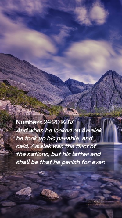 Picture 02 - Numbers 24:20 KJV Mobile Phone Wallpaper - And when he looked on Amalek, he took up his - Mobile Bible Verse Wallpaper