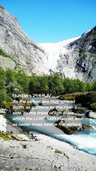 Picture 02 - Numbers 24:6 KJV Mobile Phone Wallpaper - As the valleys are they spread forth, as gardens - Mobile Bible Verse Wallpaper