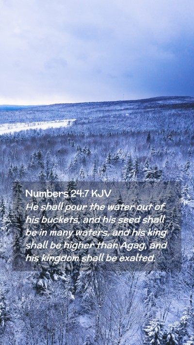 Picture 02 - Numbers 24:7 KJV Mobile Phone Wallpaper - He shall pour the water out of his buckets, and - Mobile Bible Verse Wallpaper