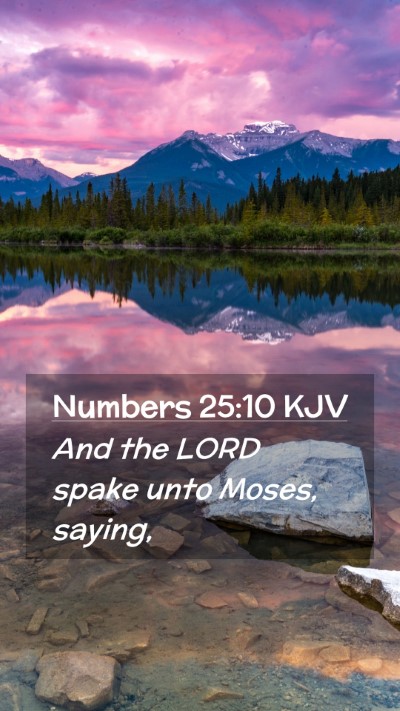 Picture 02 - Numbers 25:10 KJV Mobile Phone Wallpaper - And the LORD spake unto Moses, - Mobile Bible Verse Wallpaper