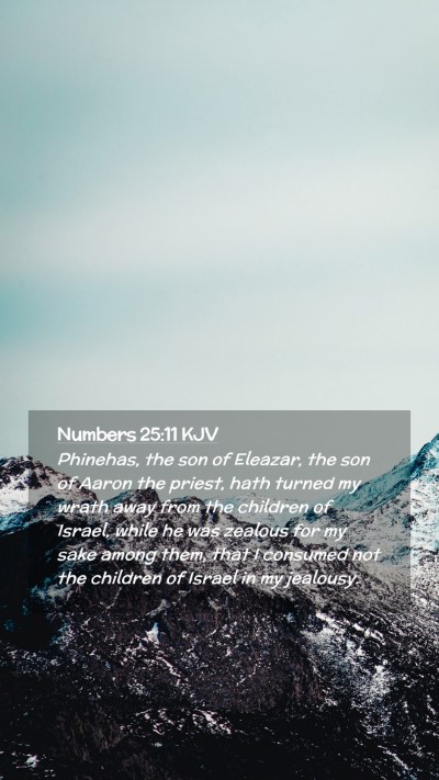 Picture 02 - Numbers 25:11 KJV Mobile Phone Wallpaper - Phinehas, the son of Eleazar, the son of Aaron - Mobile Bible Verse Wallpaper