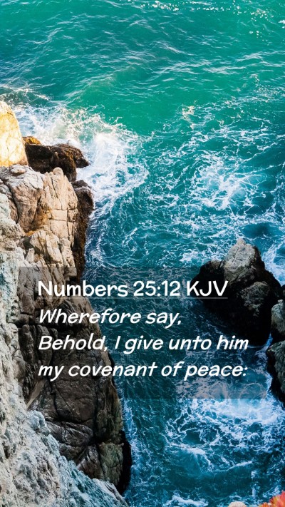 Picture 02 - Numbers 25:12 KJV Mobile Phone Wallpaper - Wherefore say, Behold, I give unto him my - Mobile Bible Verse Wallpaper