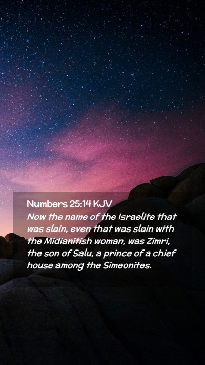 Picture 02 - Numbers 25:14 KJV Mobile Phone Wallpaper - Now the name of the Israelite that was slain, - Mobile Bible Verse Wallpaper