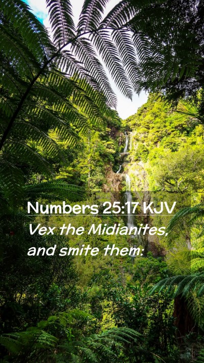 Picture 02 - Numbers 25:17 KJV Mobile Phone Wallpaper - Vex the Midianites, and smite - Mobile Bible Verse Wallpaper