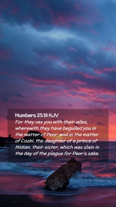 Picture 02 - Numbers 25:18 KJV Mobile Phone Wallpaper - For they vex you with their wiles, wherewith they - Mobile Bible Verse Wallpaper