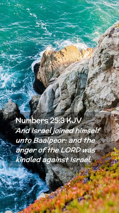 Picture 02 - Numbers 25:3 KJV Mobile Phone Wallpaper - And Israel joined himself unto Baalpeor: and the - Mobile Bible Verse Wallpaper