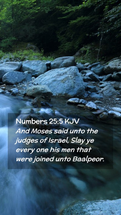 Picture 02 - Numbers 25:5 KJV Mobile Phone Wallpaper - And Moses said unto the judges of Israel, Slay ye - Mobile Bible Verse Wallpaper