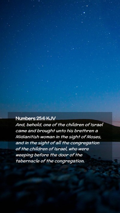 Picture 02 - Numbers 25:6 KJV Mobile Phone Wallpaper - And, behold, one of the children of Israel came - Mobile Bible Verse Wallpaper