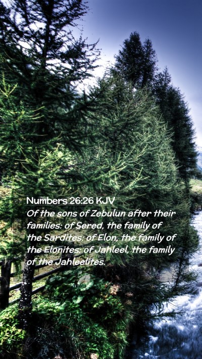Picture 02 - Numbers 26:26 KJV Mobile Phone Wallpaper - Of the sons of Zebulun after their families: of - Mobile Bible Verse Wallpaper
