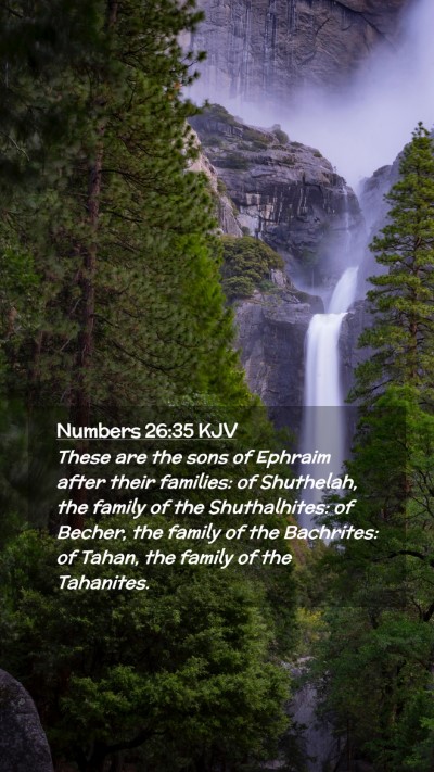 Picture 02 - Numbers 26:35 KJV Mobile Phone Wallpaper - These are the sons of Ephraim after their - Mobile Bible Verse Wallpaper