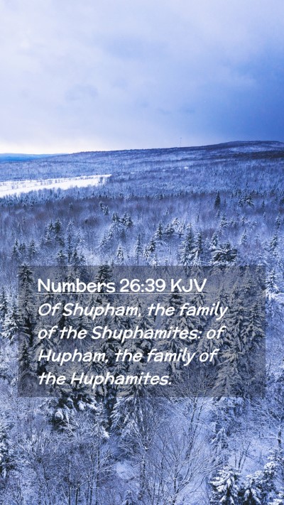 Picture 02 - Numbers 26:39 KJV Mobile Phone Wallpaper - Of Shupham, the family of the Shuphamites: of - Mobile Bible Verse Wallpaper