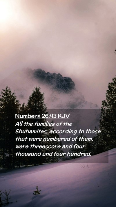 Picture 02 - Numbers 26:43 KJV Mobile Phone Wallpaper - All the families of the Shuhamites, according to - Mobile Bible Verse Wallpaper