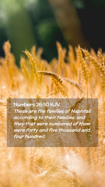 Picture 02 - Numbers 26:50 KJV Mobile Phone Wallpaper - These are the families of Naphtali according to - Mobile Bible Verse Wallpaper