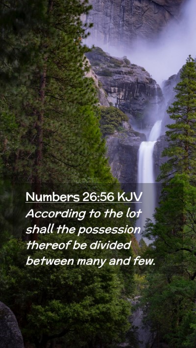 Picture 02 - Numbers 26:56 KJV Mobile Phone Wallpaper - According to the lot shall the possession thereof - Mobile Bible Verse Wallpaper