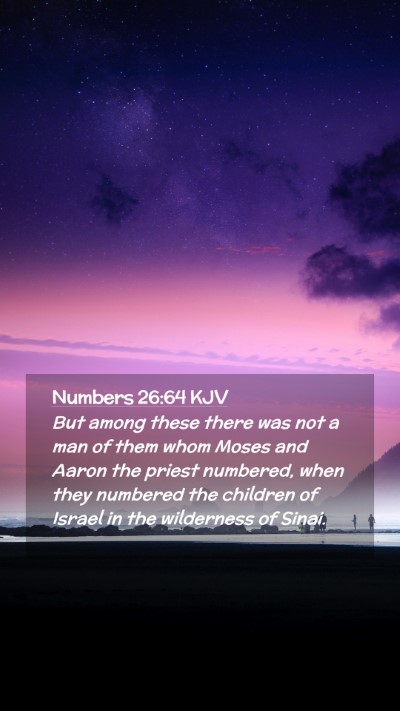 Picture 02 - Numbers 26:64 KJV Mobile Phone Wallpaper - But among these there was not a man of them whom - Mobile Bible Verse Wallpaper