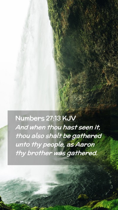 Picture 02 - Numbers 27:13 KJV Mobile Phone Wallpaper - And when thou hast seen it, thou also shalt be - Mobile Bible Verse Wallpaper