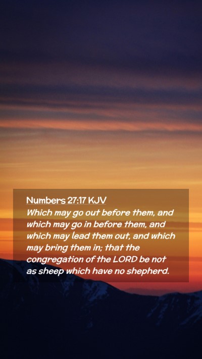 Picture 02 - Numbers 27:17 KJV Mobile Phone Wallpaper - Which may go out before them, and which may go in - Mobile Bible Verse Wallpaper