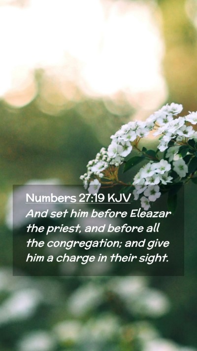 Picture 02 - Numbers 27:19 KJV Mobile Phone Wallpaper - And set him before Eleazar the priest, and before - Mobile Bible Verse Wallpaper