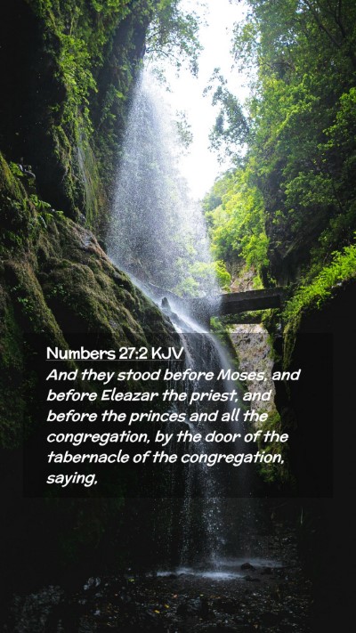 Picture 02 - Numbers 27:2 KJV Mobile Phone Wallpaper - And they stood before Moses, and before Eleazar - Mobile Bible Verse Wallpaper