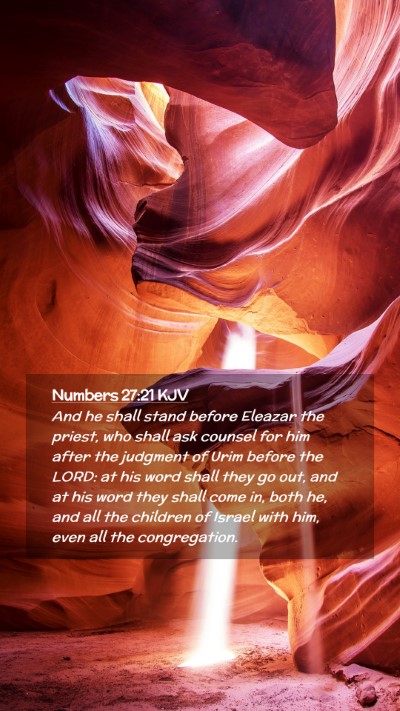 Picture 02 - Numbers 27:21 KJV Mobile Phone Wallpaper - And he shall stand before Eleazar the priest, who - Mobile Bible Verse Wallpaper